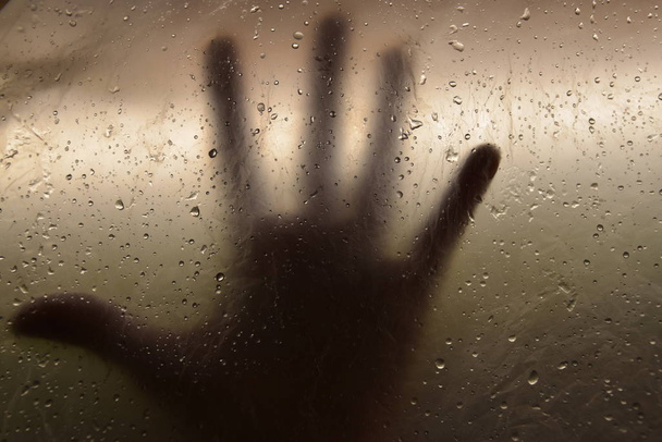 rain drops on window - Фото, зображення
