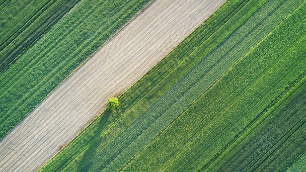Vue aérienne du paysage des champs de printemps
  - Photo, image