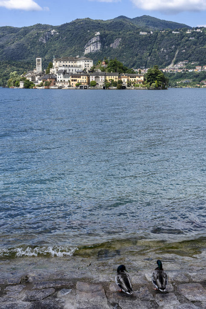 Orta San Giulio, Verbano Cusio Ossola, Piemonte, Italië: San Giulio eiland en het meer op de zomer - Foto, afbeelding