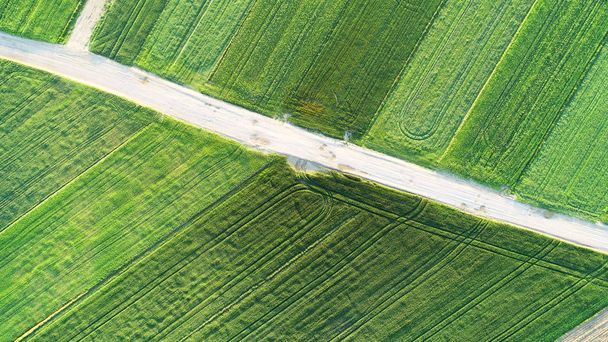 Paisagem aérea - estrada entre campos
 - Foto, Imagem