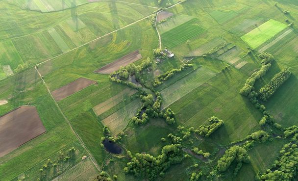 aerial shot from the drone with spring fields - Foto, Bild
