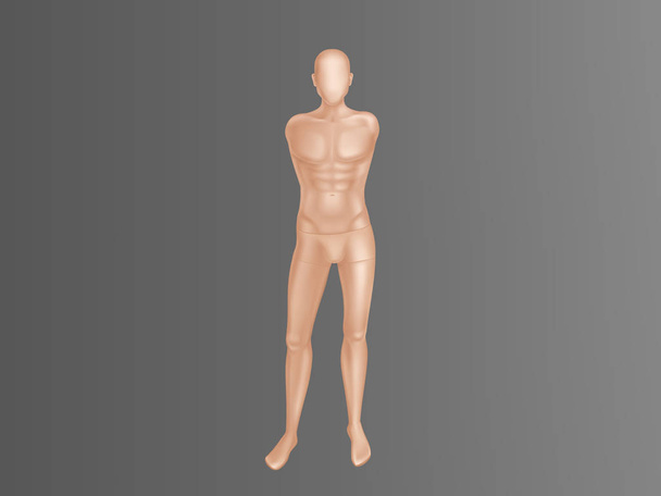 Vector male mannequin, manikin for clothing store. - Vector, Image