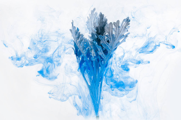 Gray grass inside in water on a white background. Flowers is under the water with acrylic blue and white paints us Winter Tale. - Photo, Image