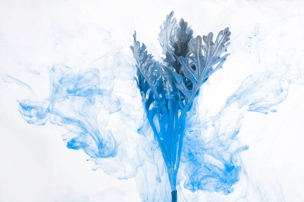 Harmaa ruoho vedessä valkoisella pohjalla. Kukat on veden alla akryyli sininen ja valkoinen maalit meille Winter Tale
. - Valokuva, kuva