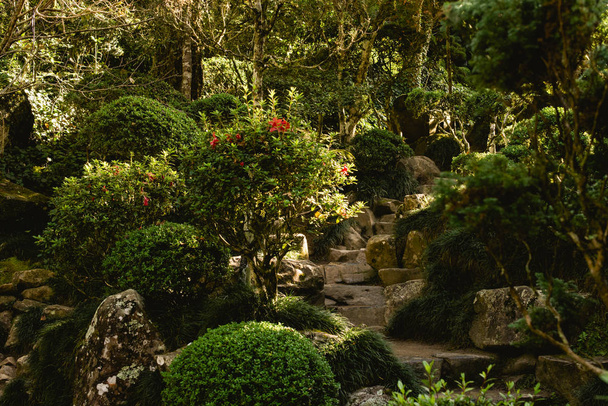 Путь камней в японском саду. Путь между деревьями и растениями
. - Фото, изображение