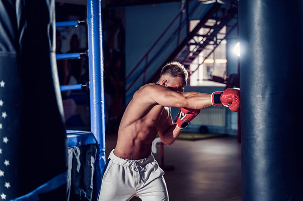Male boxer training with punching bag in dark sports hall. - Valokuva, kuva