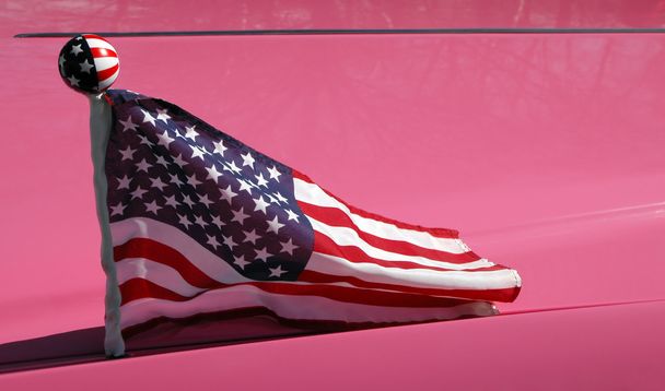 rosa Amerika - Foto, Bild