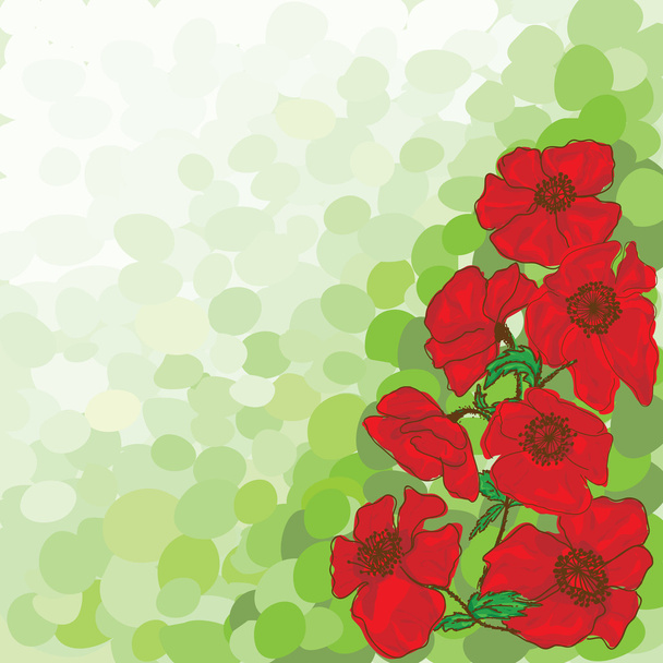 poppy flower - Vector, Image