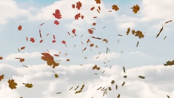 Digitally generated of falling autumn leaves against sky background - Video, Çekim