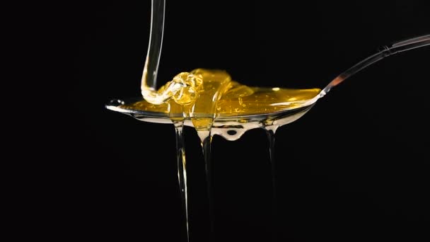 Gros plan miel d'acacia fluide épais frais coulant et coulant de la cuillère en métal sur fond noir avec espace de copie, vue latérale à angle bas, ralenti
 - Séquence, vidéo