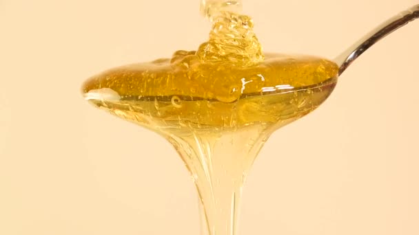 Close-up van verse dikke vloeistof acacia honing gieten en die voortvloeien uit metalen lepel over beige achtergrond met kopie ruimte, lage hoek zijaanzicht, langzame motie - Video