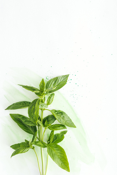 top view of bunch of aromatic basil brunches on white surface with green watercolor strokes - Photo, Image