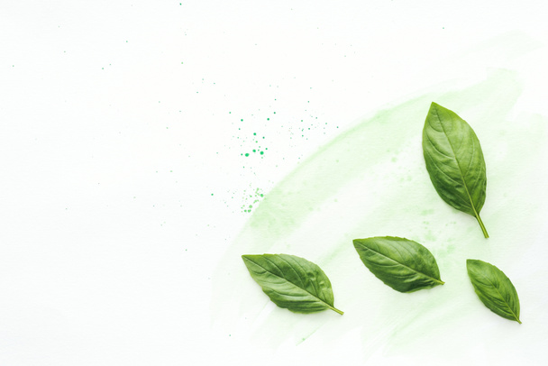 top view of aromatic basil leaves on white surface with green watercolor strokes - Foto, afbeelding