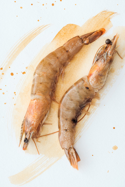 top view of delicious raw shrimps on white surface with watercolor strokes - Foto, afbeelding