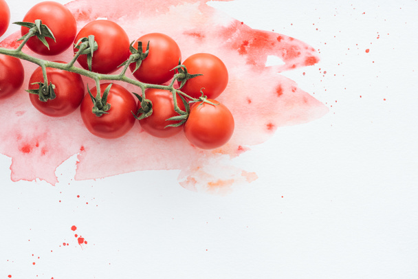 top view of branch of tasty tomatoes on white surface with red watercolor strokes - Photo, Image