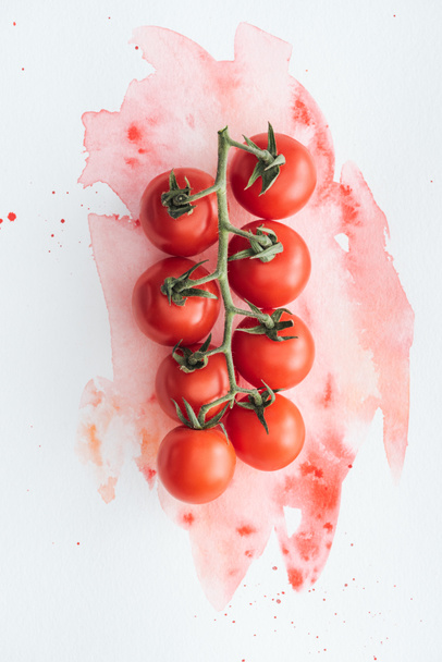 top view of branch of delicious tomatoes on white surface with red watercolor strokes - Photo, Image