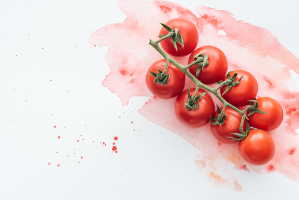 ylhäältä näkymä haara tuoreita tomaatteja valkoisella pinnalla punainen akvarelli aivohalvauksia
 - Valokuva, kuva