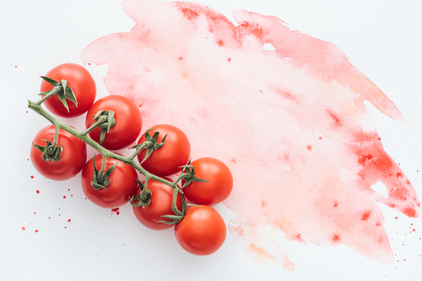 вид зверху гілки стиглих помідорів на білій поверхні з червоними акварельними штрихами
 - Фото, зображення
