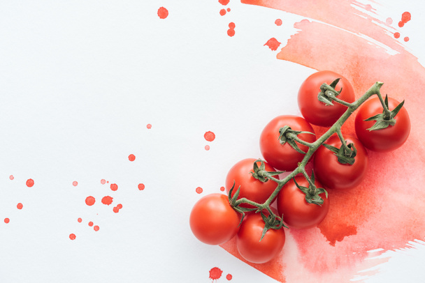 top view of branch of delicious cherry tomatoes on white surface with red watercolor strokes - Photo, Image
