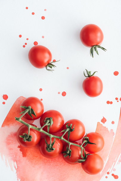 top view of branch of tasty cherry tomatoes on white surface with red watercolor strokes - Foto, imagen