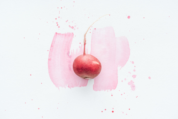 top view of single ripe radish on white surface with pink watercolor strokes - Photo, Image