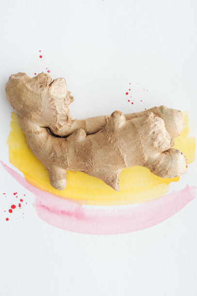 top view of healthy ginger root on white surface with yellow and pink watercolor strokes - Photo, Image