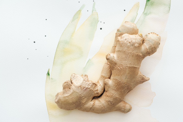 top view of ginger root on white surface with watercolor strokes - Фото, зображення