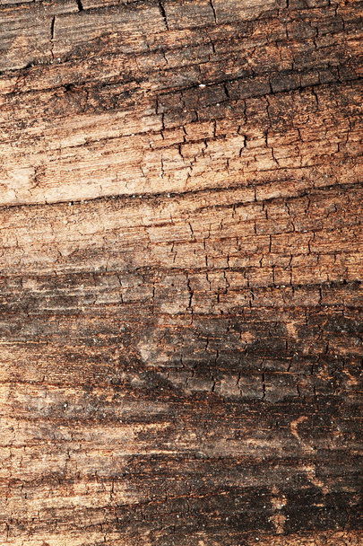 Текстура дерева для фона темный тон
. - Фото, изображение
