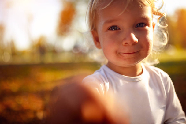 Portrait of beautiful boy child - Happy little boy in the autumn park - Foto, Imagem