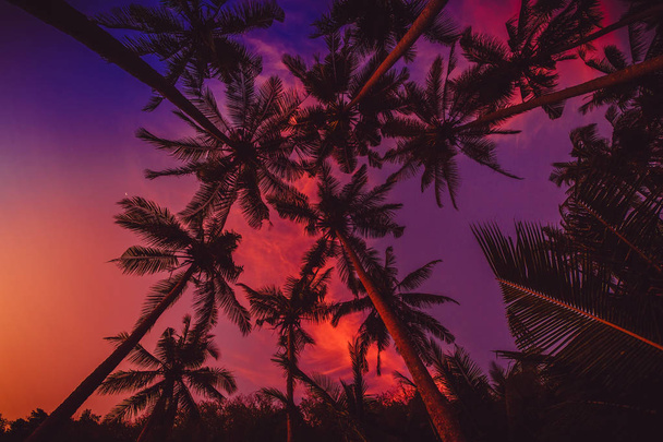 exotische Kokospalmen mit erstaunlichen Farben bei Sonnenuntergang auf tropischer Insel - Foto, Bild