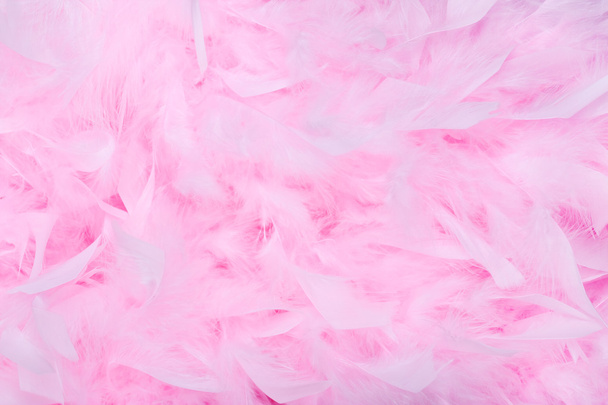 Pink feather boa background - Photo, Image