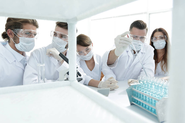 Scientists at chemical laboratory during work - Valokuva, kuva