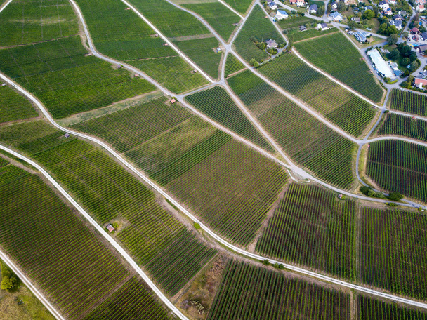 Aerial view of beautiful wineyards landscape with village from drone - Фото, изображение