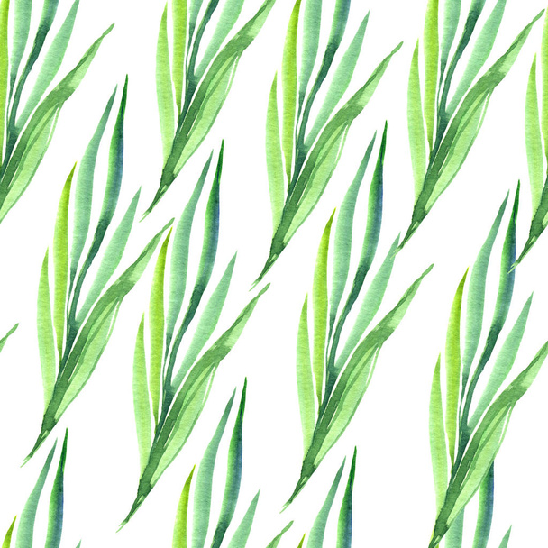 Branches of field leaves in the style of watercolors. Seamless pattern. You can use for greeting cards, greetings, for fabric, wrappers. - Foto, afbeelding