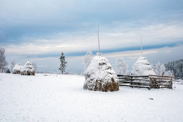 Karla kaplı ağaçlar ve tepeler ile kışın kırsal alan - Fotoğraf, Görsel