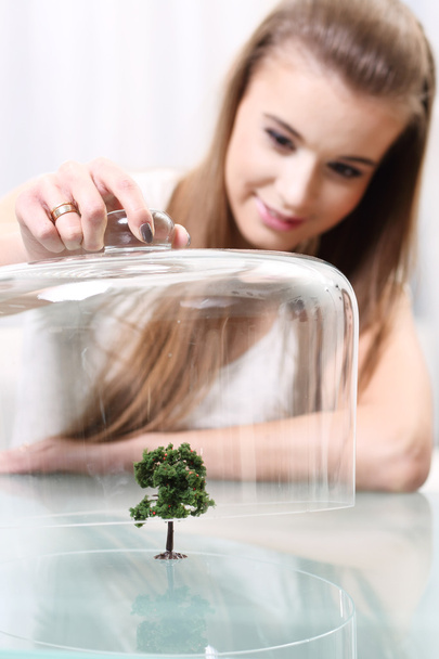 Girl covers a small artificial tree on the table, Ecological concept - Foto, Imagem