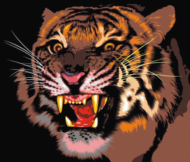 τίγρης της ζούγκλας - Διάνυσμα, εικόνα