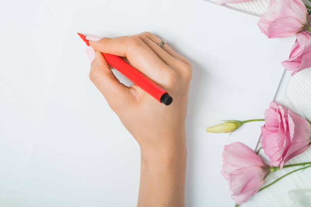 Calligrapher student practices in writing lettering with red marker on canvas. Creative artist freelancer working on project at home studio. Handwriting concept. - Фото, зображення