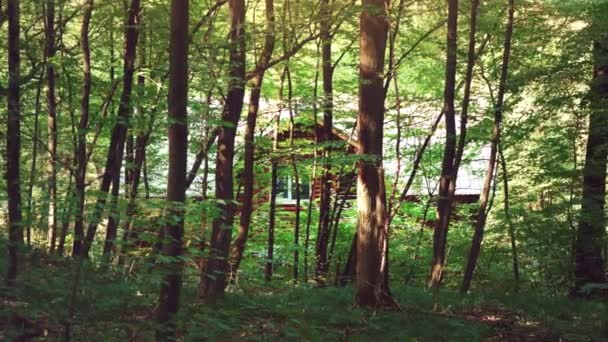 Ξύλινο σπίτι στο δάσος. Ένα σπίτι στη μέση πράσινα δέντρα. Ένα ήσυχο μέρος για να χαλαρώσετε στην αγκαλιά της φύσης - Πλάνα, βίντεο