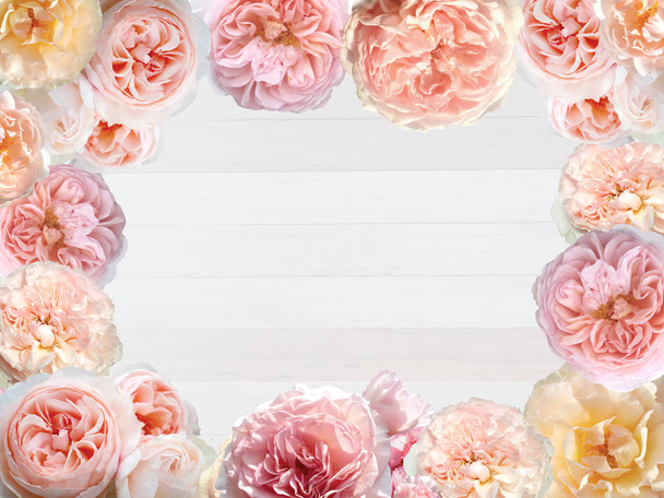 Красива рожева троянда ізольована на білому дерев'яному фоні
. - Фото, зображення