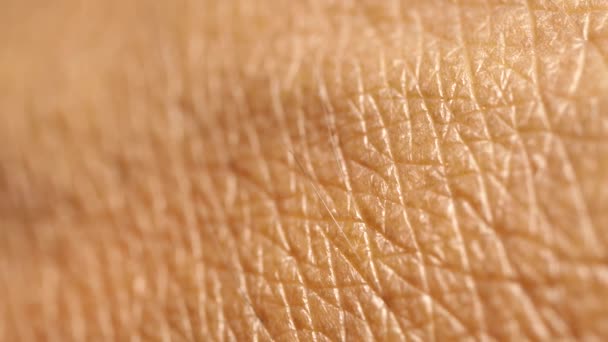 Detailní záběr z lidské kůže textury  - Záběry, video
