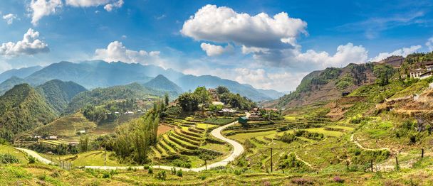 Panorama of Terraced rice field in Sapa, Lao Cai, Vietnam in a summer day - Foto, afbeelding