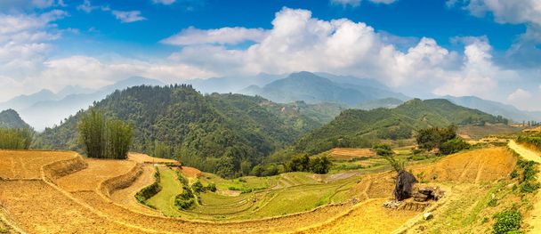 Panorama of Terraced rice field in Sapa, Lao Cai, Vietnam in a summer day - Φωτογραφία, εικόνα