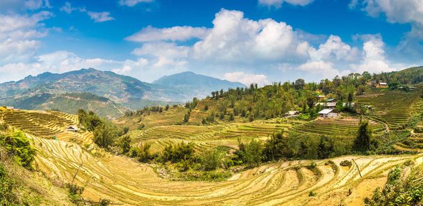 Panorama of Terraced rice field in Sapa, Lao Cai, Vietnam in a summer day - Foto, Bild