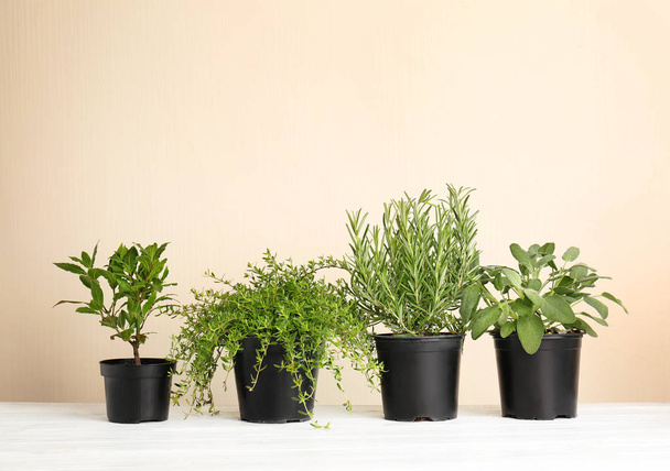 Pots with fresh aromatic herbs on table against light background - Φωτογραφία, εικόνα