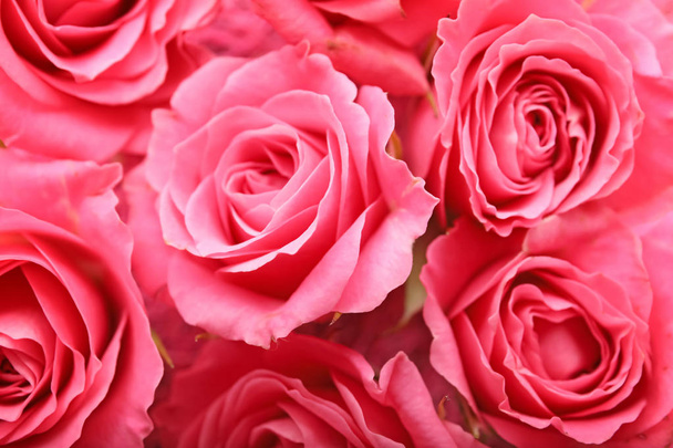 Όμορφα ροζ τριαντάφυλλα ως φόντο - Φωτογραφία, εικόνα
