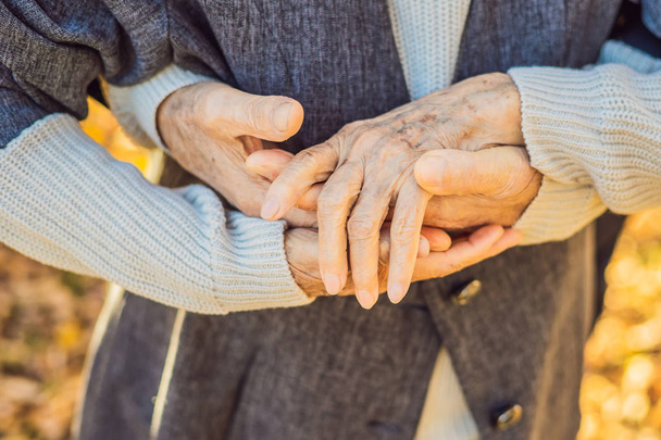 senior couple holding hands in autumn park - Фото, изображение