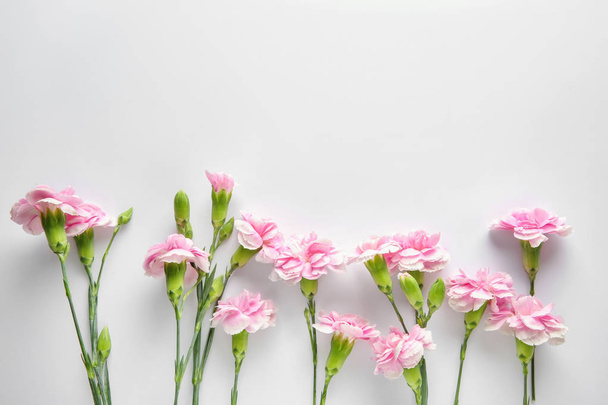 Beautiful flowers on white background - Zdjęcie, obraz