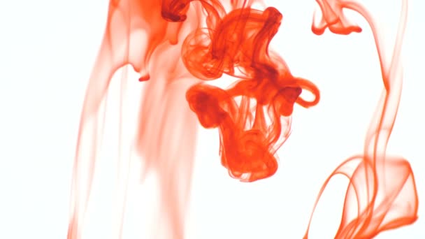 Oranje voedsel kleur inkt laten vallen in water op witte achtergrond. Abstracte voedsel kleur inkt laten vallen in water achtergrond voor beeldmateriaal ontwerp. 3840 x 2160 4 k hoge resolutie beeldmateriaal - Video