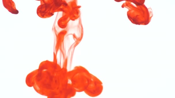 Orange Lebensmittelfarbe Tinte Tropfen in Wasser auf weißem Hintergrund. abstrakte Lebensmittelfarbe Farbtropfen im Wasserhintergrund für Filmdesign. 3840x2160 4k hochauflösendes Filmmaterial - Filmmaterial, Video